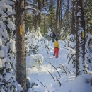 Preserving Your Peace of Mind During Winter Hikes